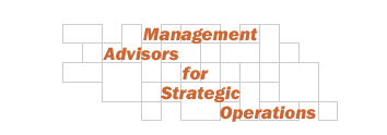 Information Architecture for Strategic Operations